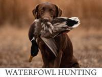 Kansas Waterfowl Hunting